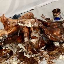 Messygirl: New Messygirl Compilation Video