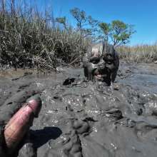 Goonology: Gooning in Gunk