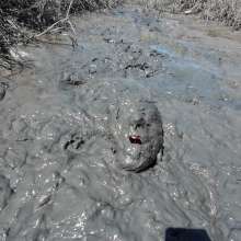 Goonology: Gooning in Gunk