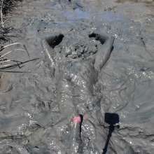 Goonology: Gooning in Gunk