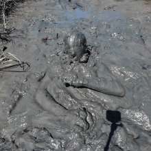 Goonology: Gooning in Gunk