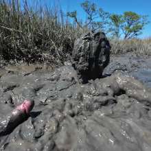 Goonology: Gooning in Gunk
