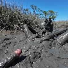 Goonology: Gooning in Gunk