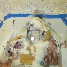 luvs2pie: 