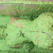 RevSlymsford: Kaydens Versus The Thick Green Slime