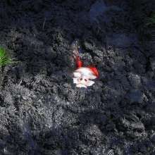 QS4Ever: Luna Lee in Emerald Grass Bog
