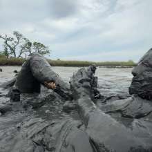 Messy Temptress: Messy Temptress Gives a Filthy Footjob in the Mud!