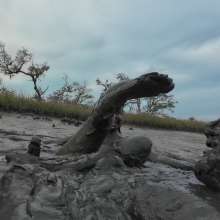 Messy Temptress: Messy Temptress Gives a Filthy Footjob in the Mud!