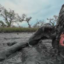 Messy Temptress: Messy Temptress Gives a Filthy Footjob in the Mud!