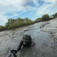 Messy Temptress: Help, I'm Stuck in the Muck!  (BTS)