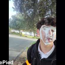 Cutiepied-production: Midday Pieing 1