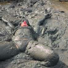 Messy Temptress: Messy Misadventures in the Mud!