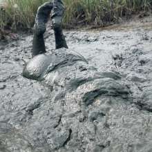 Messy Temptress: Messy Misadventures in the Mud!
