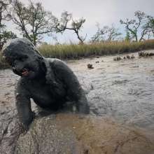 Messy Temptress: Messy Misadventures in the Mud!