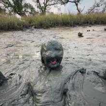 Messy Temptress: Messy Misadventures in the Mud!