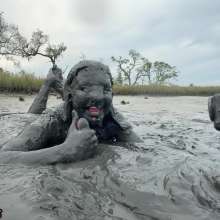 Messy Temptress: Muddy Girlfriend Experience: Milked in the Muck!