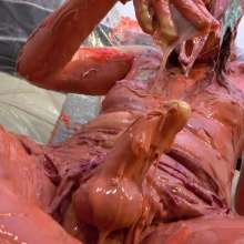 Miss Nicole: Naomi Rose Slimed: Tgirl Masturbates in Sundress and Glasses