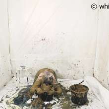 whiteroomberlin: Ophelia's Mess