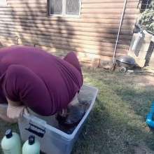 Darkabyss445: Outdoor Hairwashing Disaster