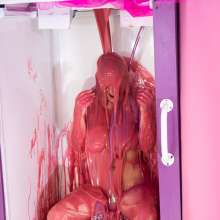 CandyCustard: Photoset: Lottii Rose Elegant Gunging