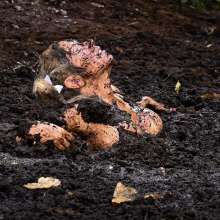 dlodoski: Pigtails Polka Dot and Quicksand--Photos