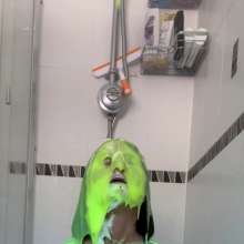 TheGungeZone: Sarah's Messy Football Forfeit
