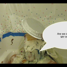 luvs2pie: 
