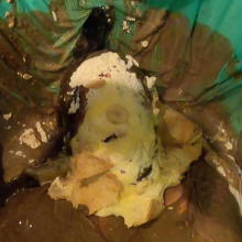 luvs2pie: 