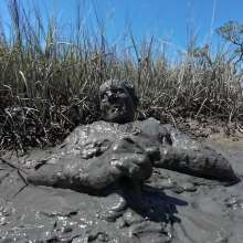 Goonology: Stroking and Somersaulting in the Swamp