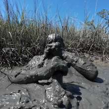 Goonology: Stroking and Somersaulting in the Swamp