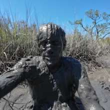 Goonology: Stroking and Somersaulting in the Swamp