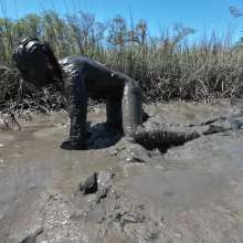 Goonology: Stroking and Somersaulting in the Swamp