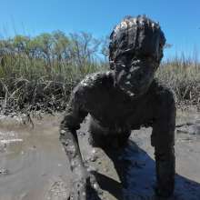 Goonology: Stroking and Somersaulting in the Swamp