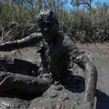 Goonology: Stroking and Somersaulting in the Swamp