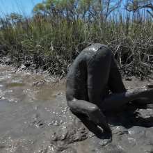 Goonology: Stroking and Somersaulting in the Swamp
