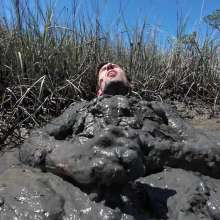 Goonology: Stroking and Somersaulting in the Swamp