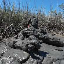 Goonology: Stroking and Somersaulting in the Swamp