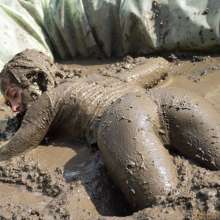 Lara_eurowam: New mud video in download store and on wam.tv