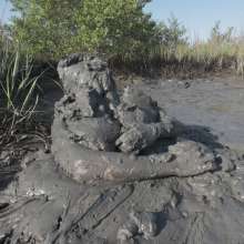 Goonology: The Human Sludge Heap