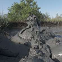 Goonology: The Human Sludge Heap