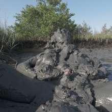 Goonology: The Human Sludge Heap