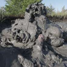 Goonology: The Human Sludge Heap