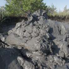 Goonology: The Human Sludge Heap