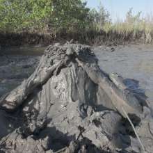 Goonology: The Human Sludge Heap