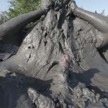 Goonology: The Human Sludge Heap