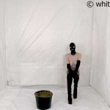whiteroomberlin: The Mudmodel Job