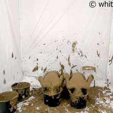 whiteroomberlin: The Mudmodel Job