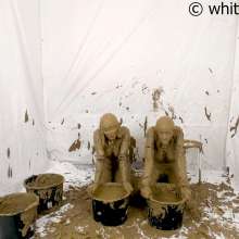 whiteroomberlin: The Mudmodel Job