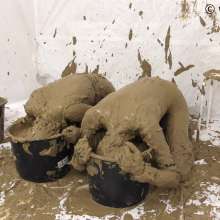 whiteroomberlin: The Mudmodel Job