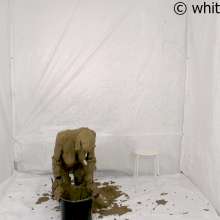 whiteroomberlin: The Mudmodel Job